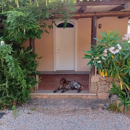 Mirialveda *